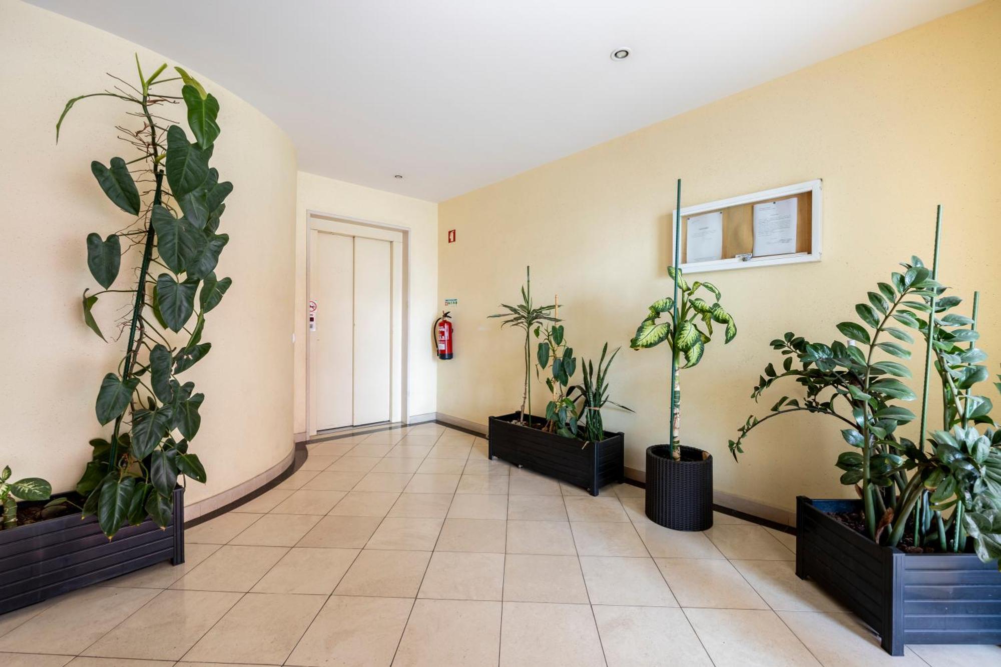 לאגוּ‏ש Apartamentos Mira Rio מראה חיצוני תמונה
